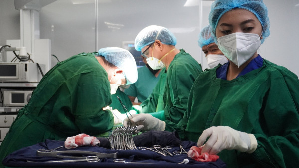 Ισραήλ: Ένδειξη για χειρουργική εγκεφάλου πριν από 3.500 χρόνια