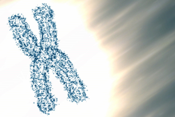 Οι άνδρες χάνουν το χρωμόσωμα Υ – Με ποιες ασθένειες συνδέεται η απώλεια