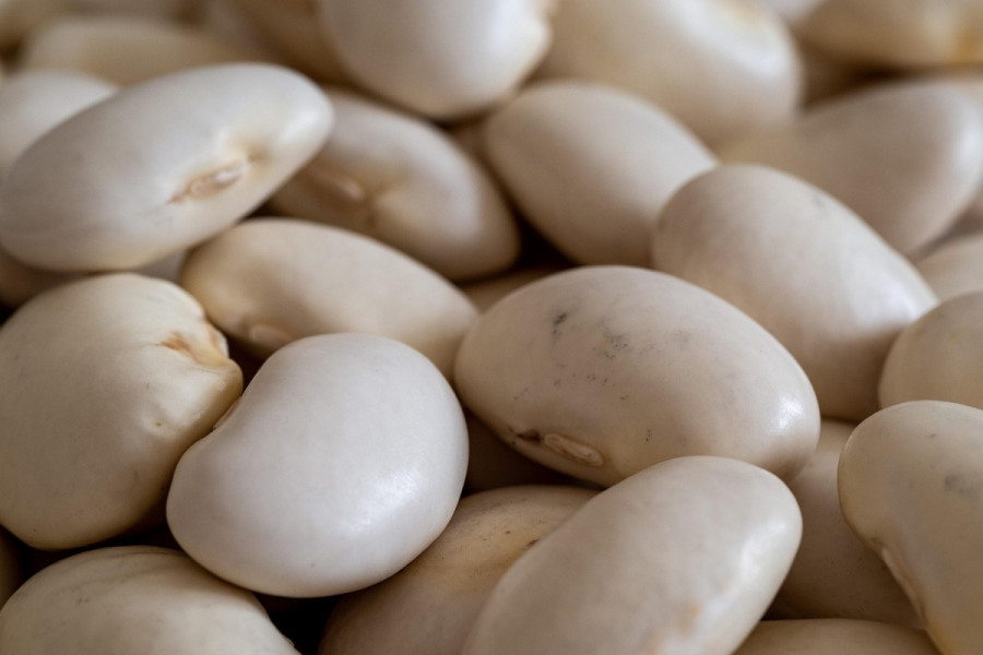 Λευκά φασόλια: Το superfood που προσφέρει φυτικές ίνες, πρωτεΐνη και μία σημαντική βιταμίνη