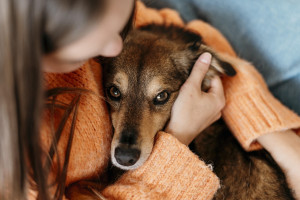 4 λόγοι για να αγκαλιάζετε το κατοικίδιό σας κάθε μέρα