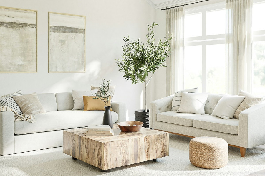 Η καθημερινή συνήθεια που βελτιώνει σημαντικά την ποιότητα του αέρα στο σπίτι σας