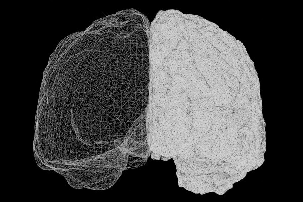 Νέα μελέτη αποκαλύπτει το εγκεφαλικό πλεονέκτημα που έχουν οι γυναίκες έναντι των ανδρών