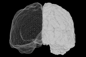 Νέα μελέτη αποκαλύπτει το εγκεφαλικό πλεονέκτημα που έχουν οι γυναίκες έναντι των ανδρών