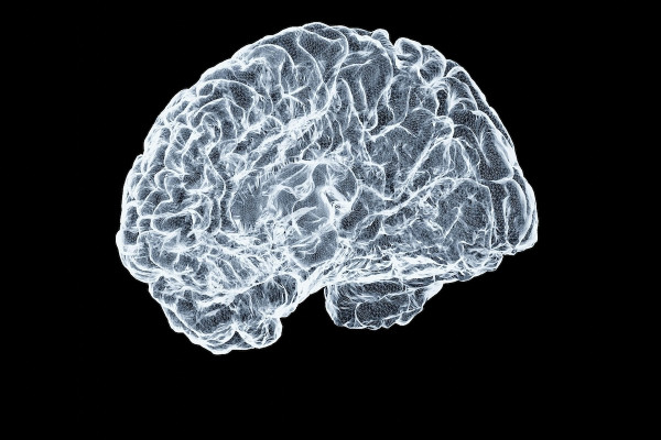 Το λαχανικό που μπορεί να μειώσει τον κίνδυνο Αλτσχάιμερ, σύμφωνα με διαιτολόγους