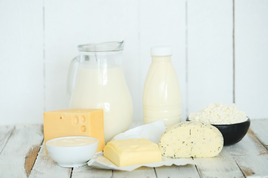 Πλήρη ή χαμηλά λιπαρά; Ποια είναι η σωστή επιλογή στα γαλακτοκομικά – Το Harvard απαντά
