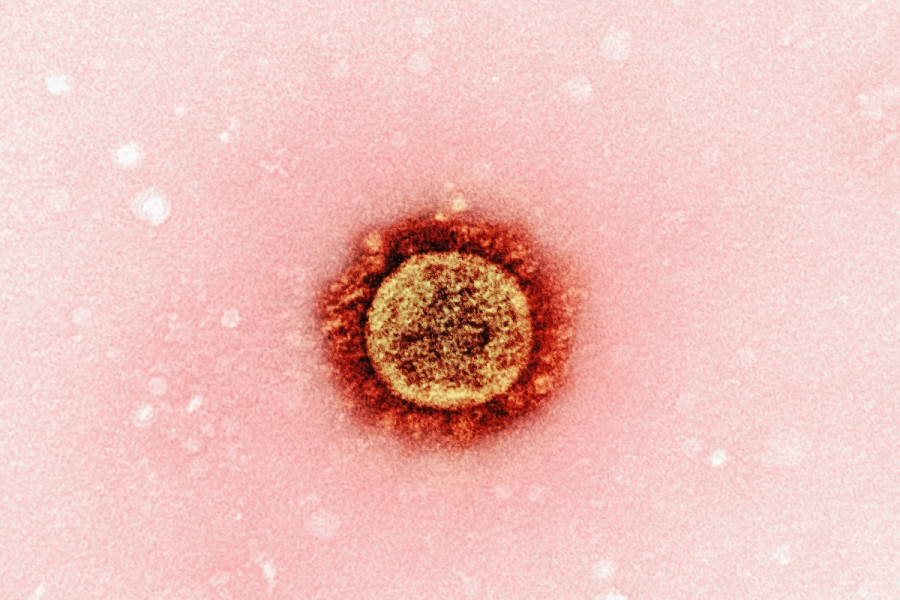 Ανησυχία για επανεμφάνιση της ιλαράς στην Ευρώπη – Αύξηση των κρουσμάτων κατά 47%