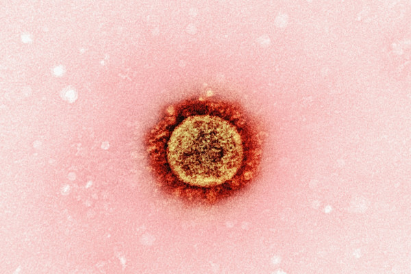 Ανησυχία για επανεμφάνιση της ιλαράς στην Ευρώπη – Αύξηση των κρουσμάτων κατά 47%