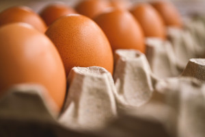 ΗΠΑ: Ανακαλούνται χιλιάδες αυγά λόγω σαλμονέλας