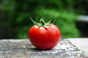 Γιατί η ντομάτα είναι μια καλοκαιρινή «υπερτροφή»