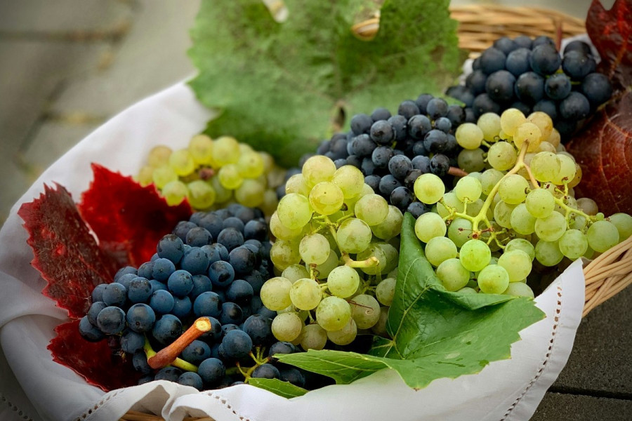 Ανακαλούνται σταφύλια με εντομοκτόνο από τις αγορές της Ευρώπης