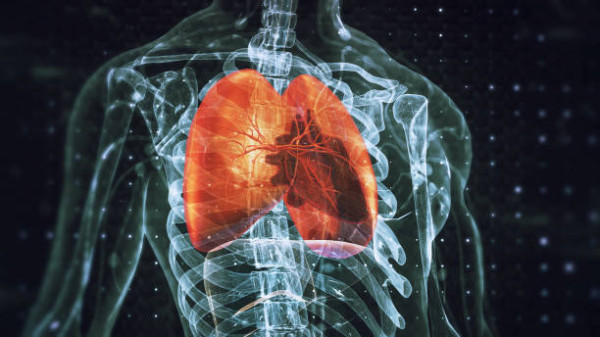 Αποτοξίνωση πνευμόνων: Απλά tips για καθαρούς πνεύμονες