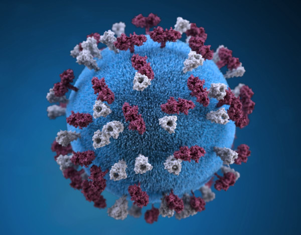 Ο ιός Ζίκα χρησιμοποιείται για την καταπολέμηση του παιδικού νευροβλαστώματος