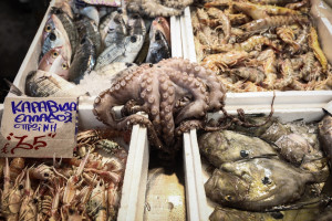 Σαρακοστιανά: Πώς θα προφυλαχθείτε από το ενδεχόμενο τροφικής δηλητηρίασης