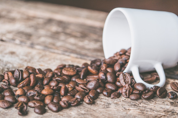 Η επιστήμη ένα βήμα πιο κοντά στην καλλιέργεια κόκκων καφέ χωρίς καφεΐνη