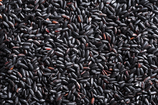 Μαύρο ρύζι: Το πολύτιμο δημητριακό με μεγάλα οφέλη για την υγεία