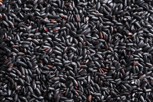 Μαύρο ρύζι: Το πολύτιμο δημητριακό με μεγάλα οφέλη για την υγεία