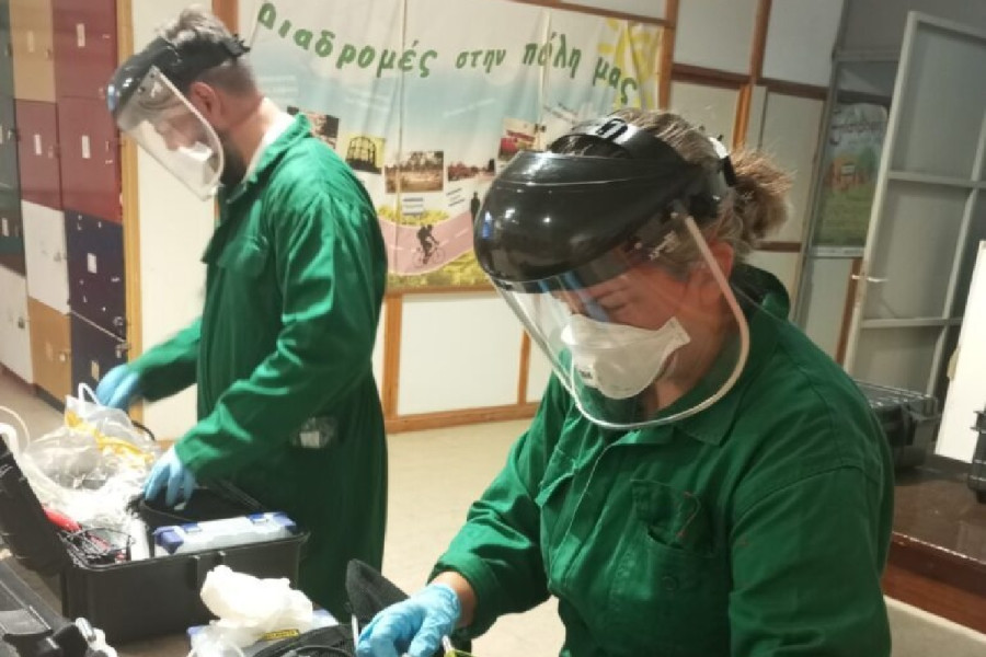 Δήμος Αθηναίων: Σε εφαρμογή πρόγραμμα προστασίας τουλάχιστον 8.000 μουριών της πόλης