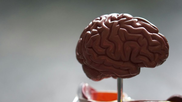Ο εγκέφαλος των ανθρώπων έχει μεγαλώσει - Πώς επηρεάζει αυτό τον κίνδυνο εμφάνισης Αλτσχάιμερ