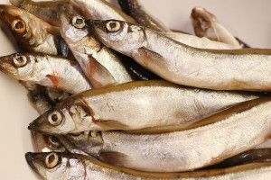 Με «παντοτινά χημικά» 2 στα 3 ψάρια και 4 στα 10 αυγά - Έκθεση της ΜΚΟ Générations futures