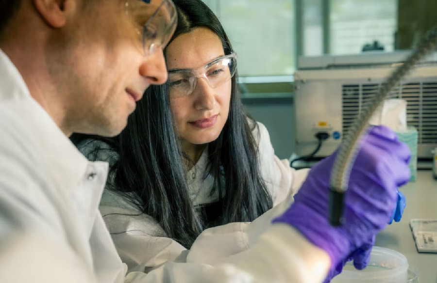 Allen Institute: Αρχίζει έρευνα για νέα φάρμακα κατά πέντε σοβαρών νευροεκφυλιστικών ασθενειών