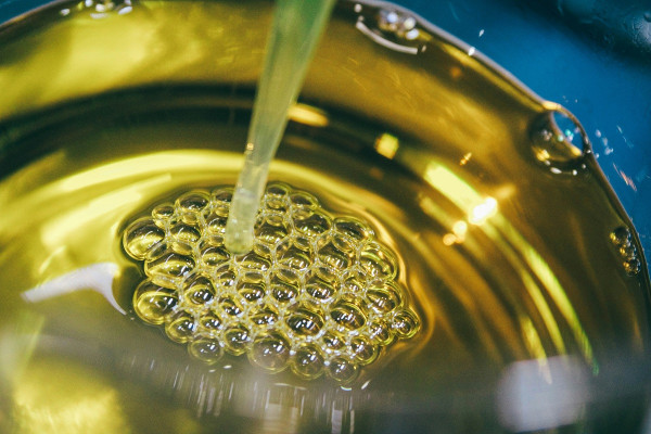 Δημοφιλές σπορέλαιο συνδέεται με την παχυσαρκία – Τι αποκάλυψε νέα μελέτη