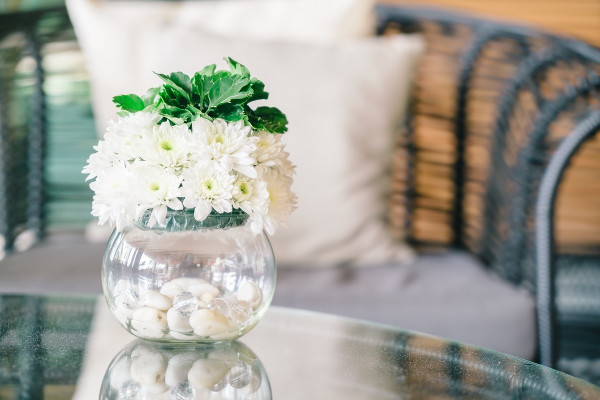 Τα φυτά εσωτερικού χώρου μπορούν να ενισχύσουν την ευεξία σας την άνοιξη