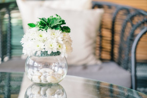 Τα φυτά εσωτερικού χώρου μπορούν να ενισχύσουν την ευεξία σας την άνοιξη