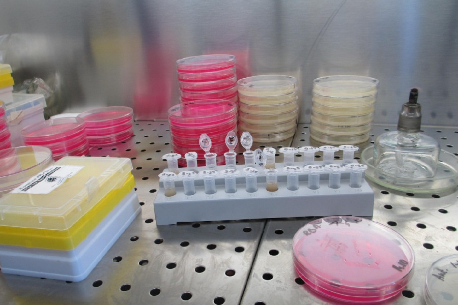 Λιστερίωση: Σε άνοδο στην Ευρώπη – Οι παράγοντες που οδηγούν σε αύξηση κρουσμάτων