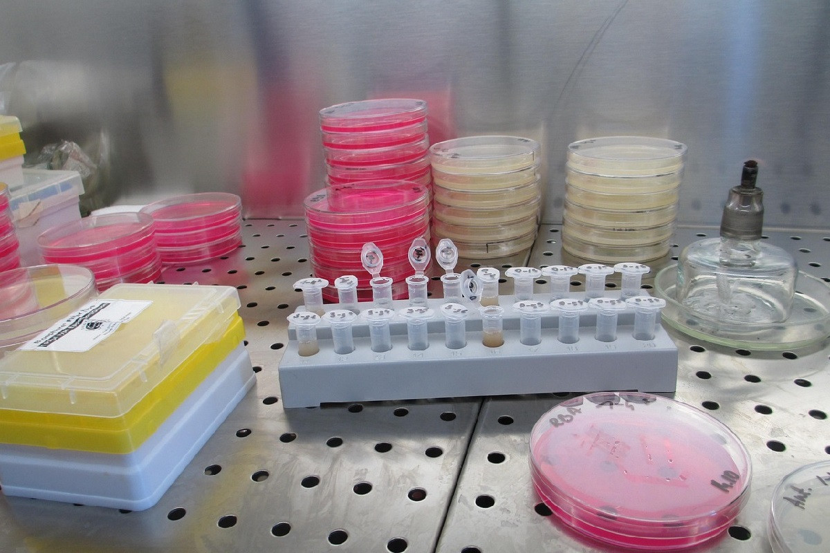 Λιστερίωση: Σε άνοδο στην Ευρώπη – Οι παράγοντες που οδηγούν σε αύξηση κρουσμάτων