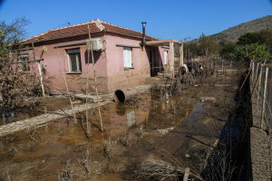 Δύο νέα κρούσματα λεπτοσπείρωσης - Υπό διερεύνηση 109