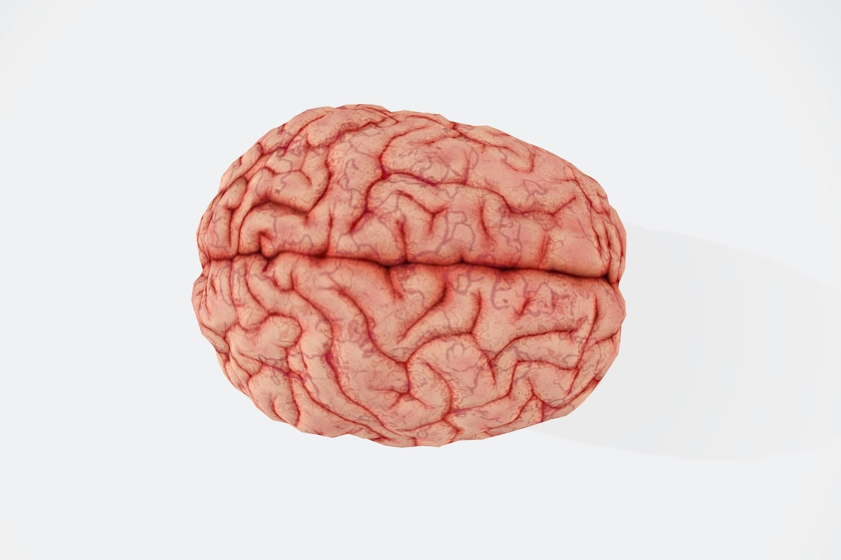 Νέα μελέτη: 3 συνήθειες μπορούν να κάνουν τον εγκέφαλό σας έως και 8 χρόνια νεότερο