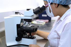 Εννέα ερωτήσεις και απαντήσεις για τον Candida auris: Τι πρέπει να γνωρίζετε για τον ανθεκτικό μύκητα