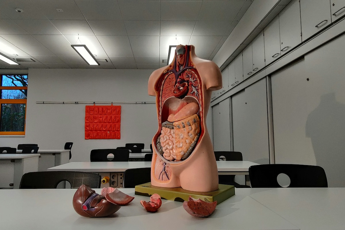 Τα 2 χαρακτηριστικά στο σώμα σας που αυξάνουν τον κίνδυνο θανάτου κατά 83% - Πώς θα τα αλλάξετε