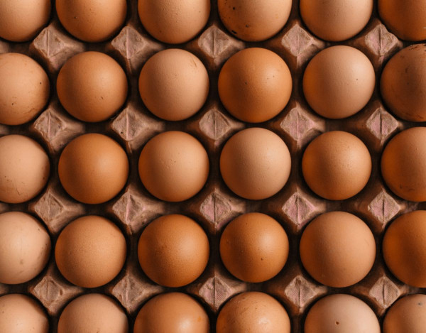 Είναι καλό να τρως αυγά το πρωί; Τι λέει μελέτη του Χάρβαρντ