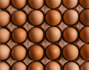 Είναι καλό να τρως αυγά το πρωί; Τι λέει μελέτη του Χάρβαρντ